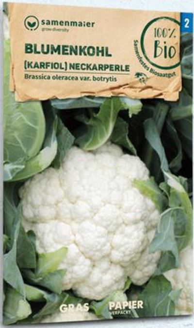 Produktfoto zu Saatgut Blumenkohl Karfiol