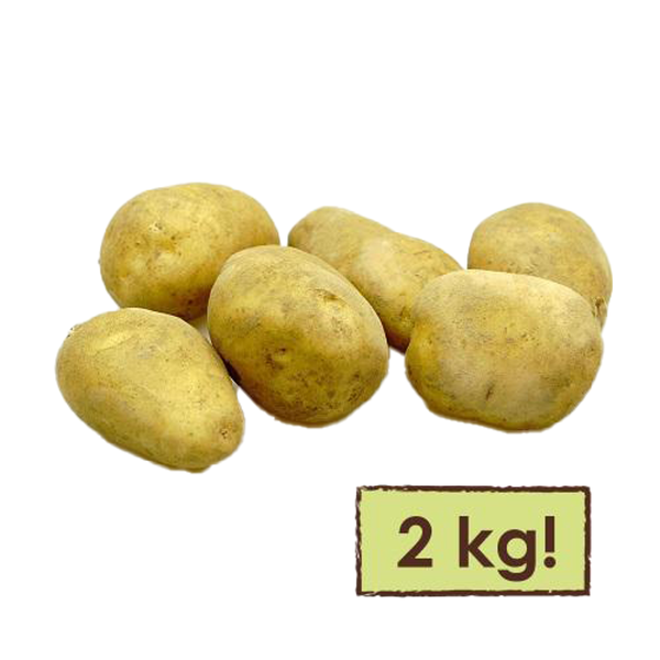 Produktfoto zu Kartoffel Melia mehligkochend 2 Kg Tüte