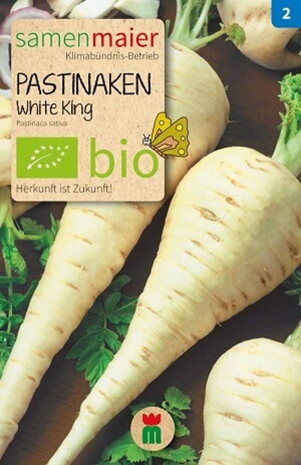 Produktfoto zu Saatgut Pastinaken White King