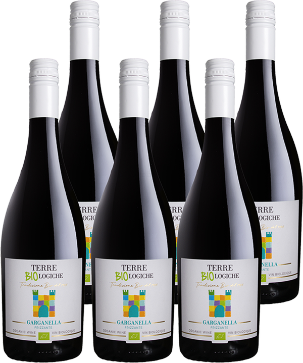 Produktfoto zu Prosecco Vino Frizzante Garganlla Kiste