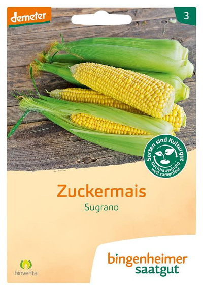 Produktfoto zu Saatgut Zuckermais Golden Bantam
