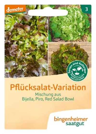 Produktfoto zu Saatgut Pflücksalat Variation