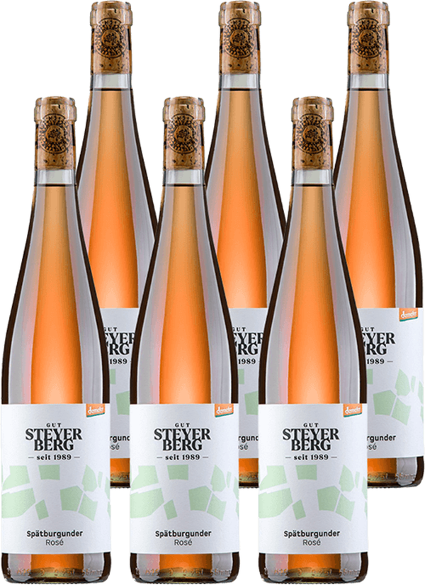 Produktfoto zu Spätburgunder Rosé 6 x 0,75 l