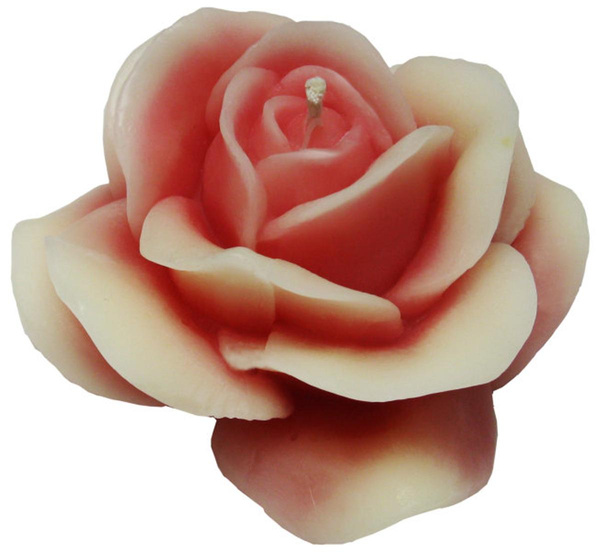 Produktfoto zu Große Rose in versch. Farben & Geschenkverpackung