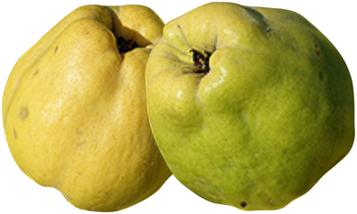 Produktfoto zu Quitten