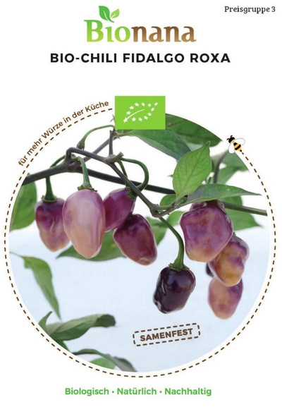 Produktfoto zu Saatgut Chili Fidalgo Roxa