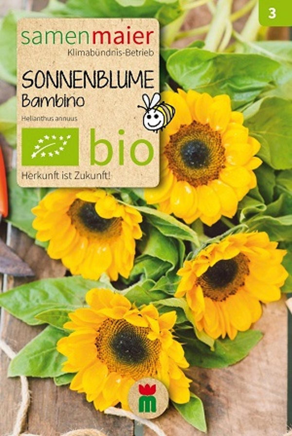 Produktfoto zu Saatgut Sonnenblume Bambino