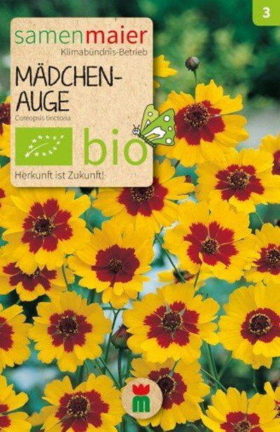 Produktfoto zu Saatgut Mädchenauge