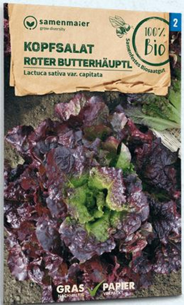 Produktfoto zu Saatgut Kopfsalat Roter Butterhäuptel