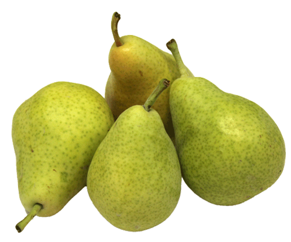 Produktfoto zu Birne XENIA