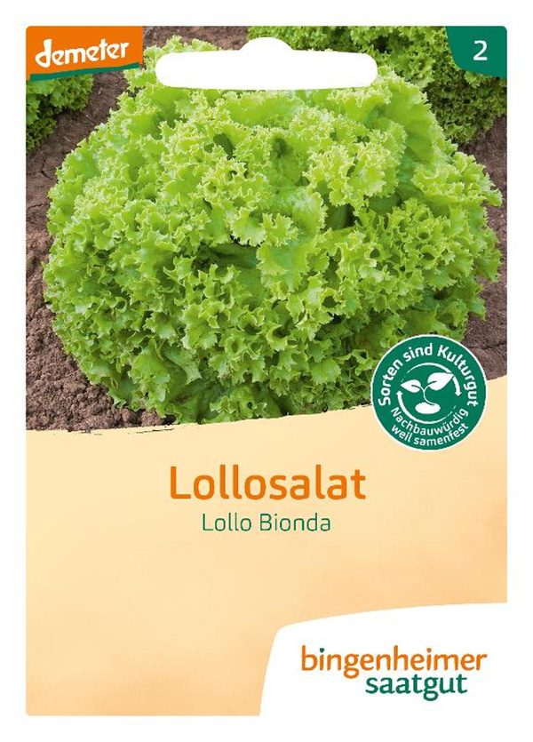 Produktfoto zu Saatgut Lollosalat Lollo Bionda
