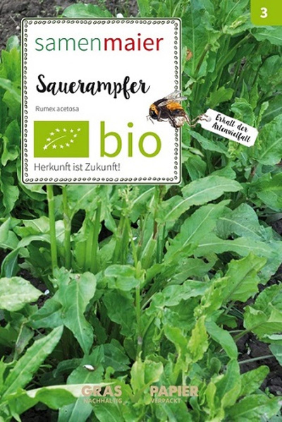 Produktfoto zu Saatgut Sauerampfer