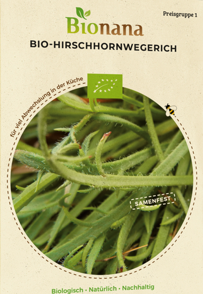Produktfoto zu Saatgut Hirschhornwegerich