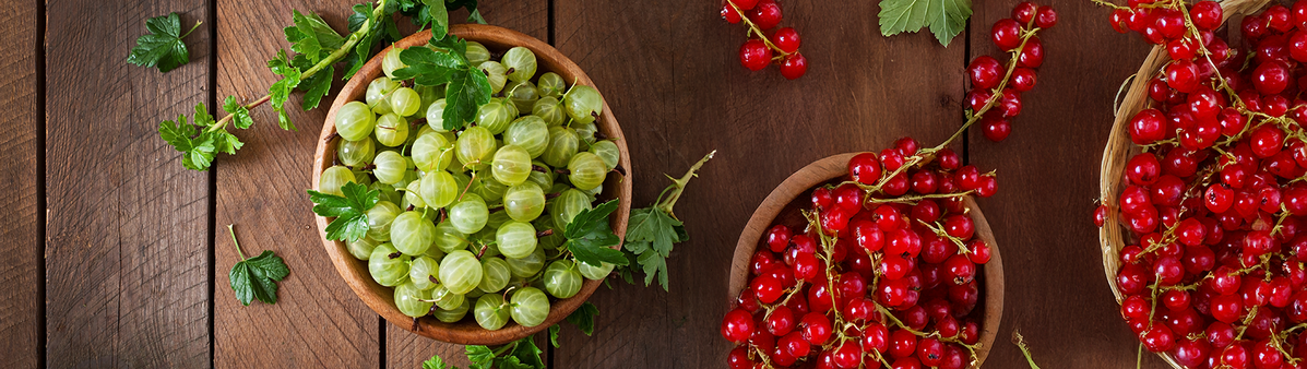 KI generiert: Das Bild zeigt mehrere Pastinaken, frische und in Scheiben geschnittene, auf einer hellen Holzoberfläche. Daneben liegen einige grüne Blätter zur Dekoration.