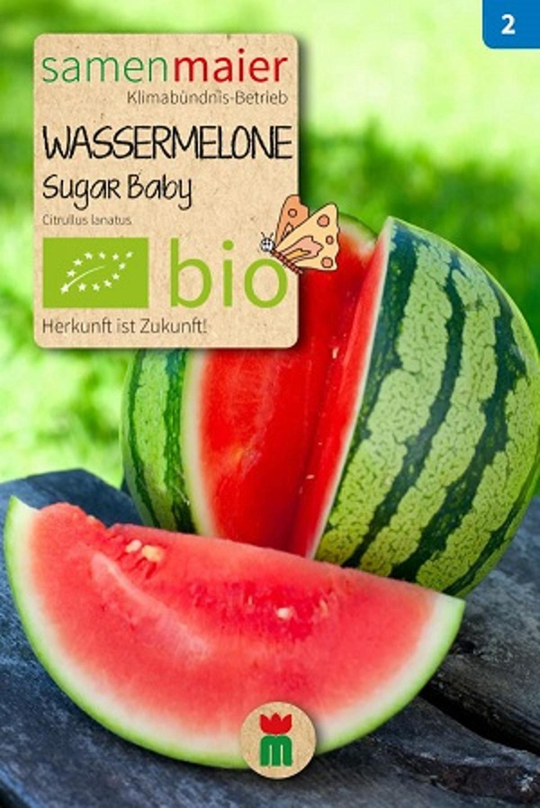 Produktfoto zu Saatgut Wassermelone Sugar Baby
