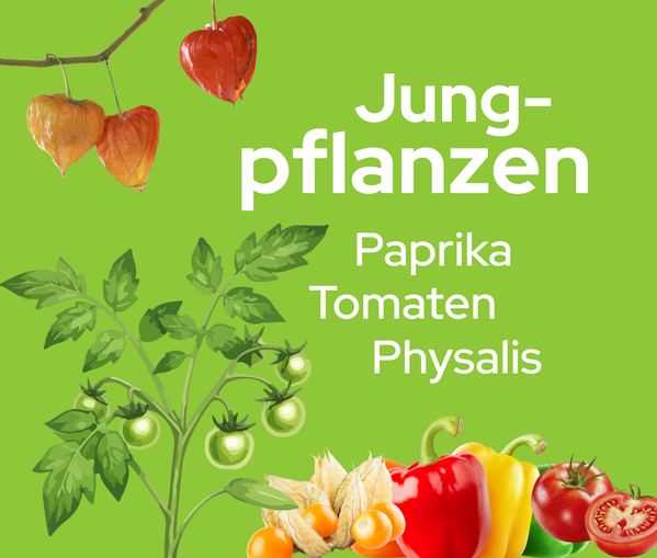 Nachhaltiger Bio-Lieferdienst aus deiner Region