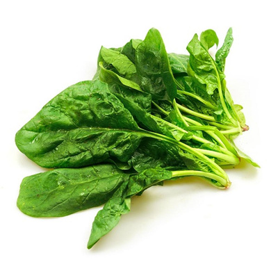 Produktfoto zu Wurzelspinat