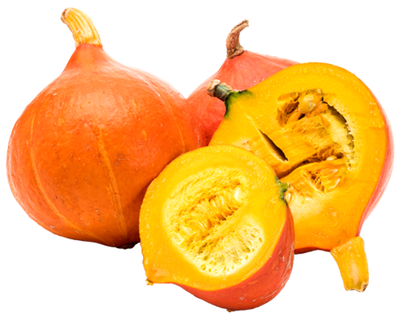 Produktfoto zu Kürbis HOKKAIDO orange