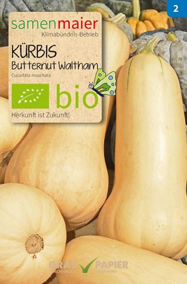 Produktfoto zu Saatgut Kürbis Butternut Waltham