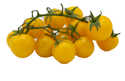 Produktfoto zu Tomaten Cherry orange oder gelb Deutschland