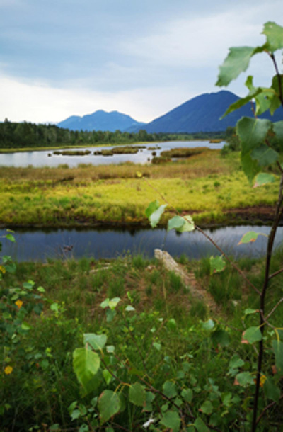 Produktfoto zu Natur schützen