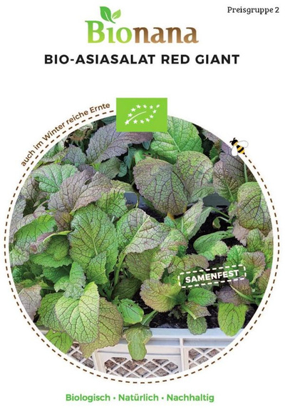 Produktfoto zu Saatgut Asia-Salat Red Giant