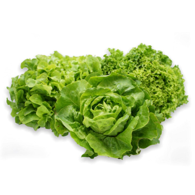 Produktfoto zu Salat grün im Angebot