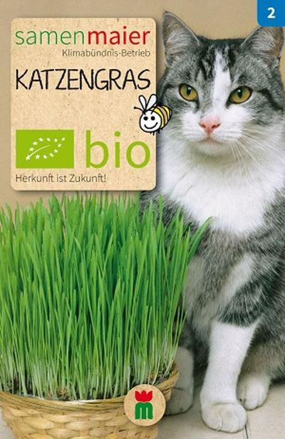 Produktfoto zu Saatgut Katzengras