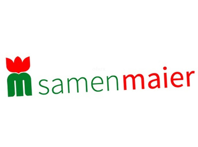 Produktfoto zu Saatgut Prunkbohnen Lady Di