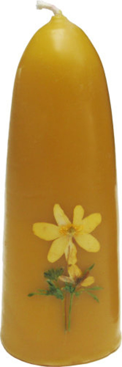 Produktfoto zu Blumenstumpen natur