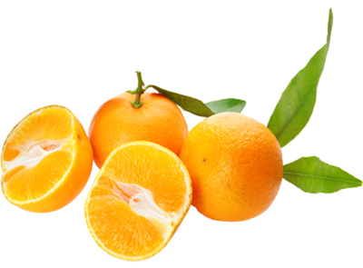 Produktfoto zu Blattclementinen