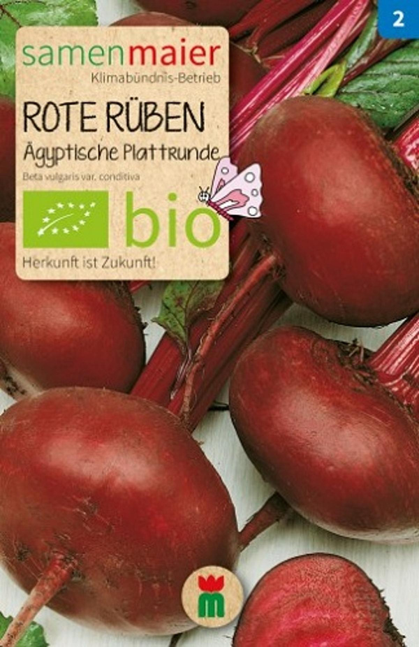 Produktfoto zu Saatgut Rote Rüben D´Egypte