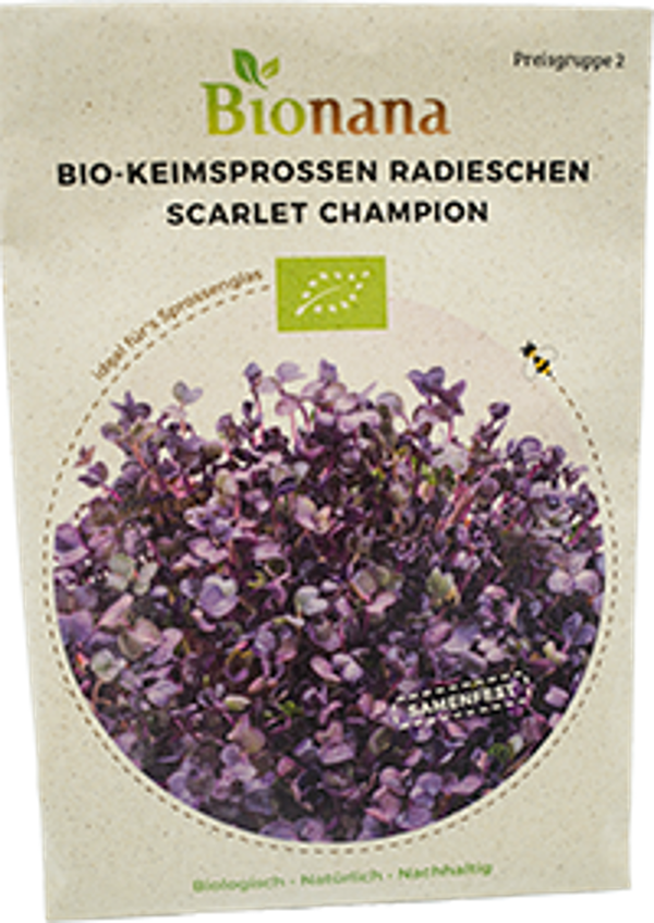 Produktfoto zu Saatgut Keimsprossen Radieschen Scarlet Champion