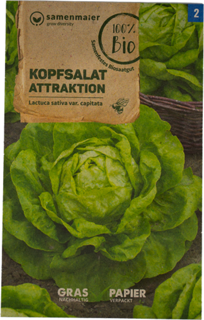 Produktfoto zu Saatgut Kopfsalat Attraktion