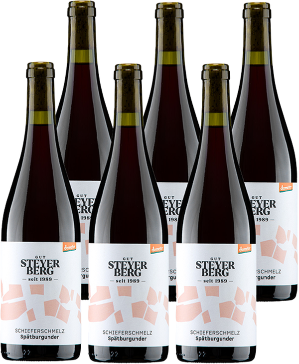 Produktfoto zu Spätburgunder Schmelzer 6 x 0,75 l