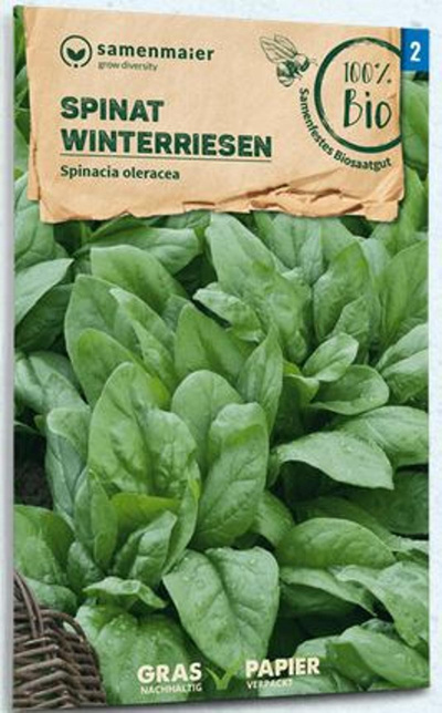 Produktfoto zu Saatgut Spinat Winterriesen