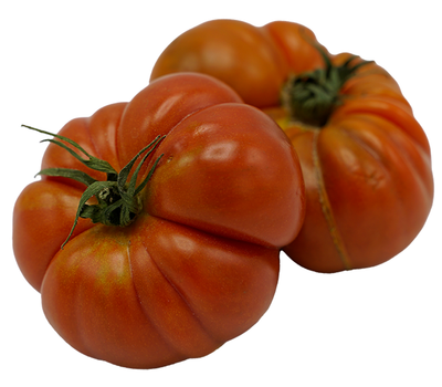 Produktfoto zu Fleischtomate rot Ochsenherz