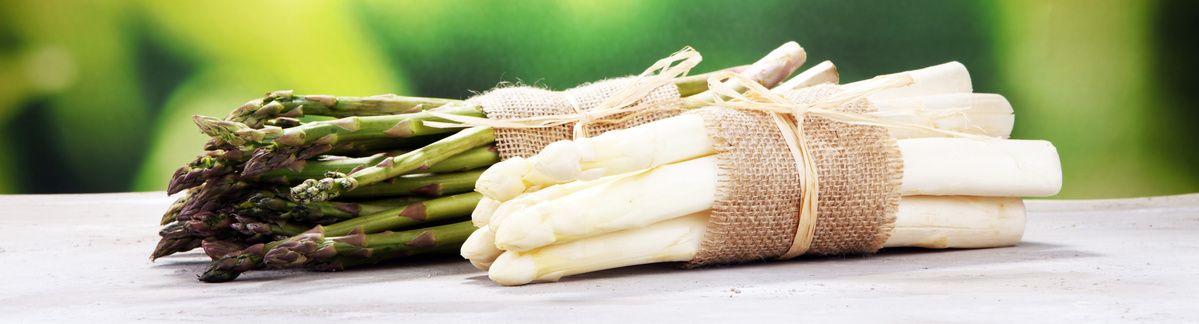 Weier & grner Spargel - Wissen - Hhenberger Biokiste