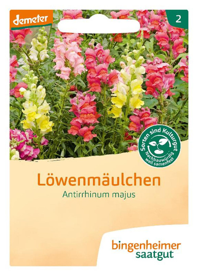 Produktfoto zu Saatgut Löwenmäulchen