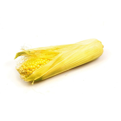 Produktfoto zu Zuckermais frisch