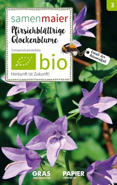 Produktfoto zu Saatgut Pfirsichblättrige Glockenblume