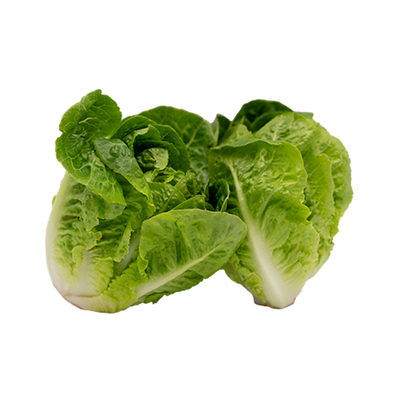 Produktfoto zu Salat Mini-Romana