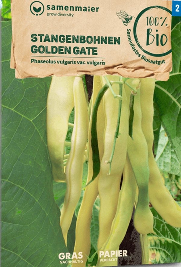 Produktfoto zu Saatgut Stangenbohnen Golden Gate