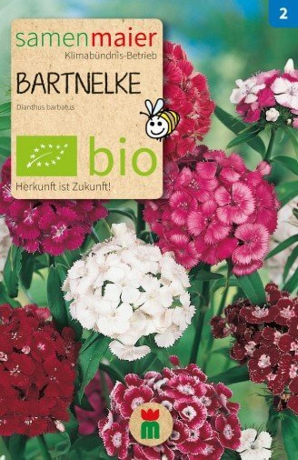 Produktfoto zu Saatgut Bartnelke