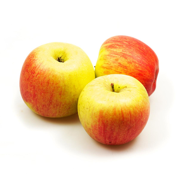 Produktfoto zu Apfel PILOT