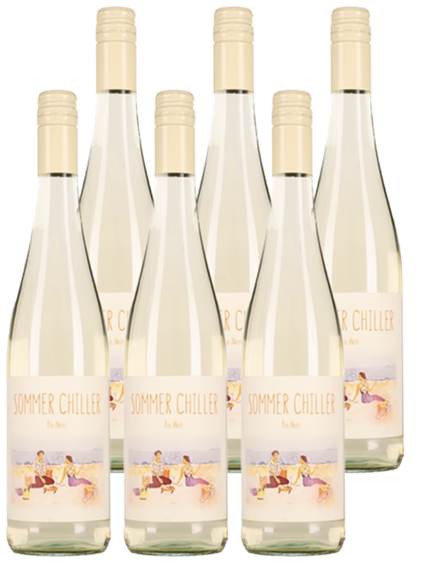 Produktfoto zu Sommer Chiller weiß Kasten