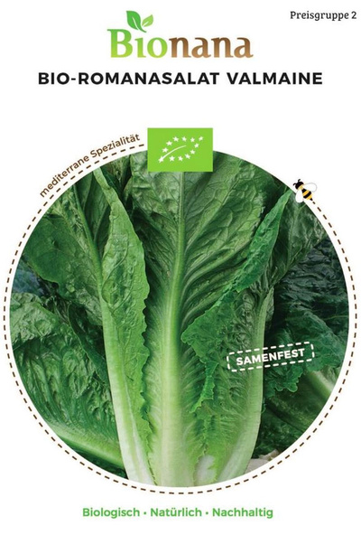 Produktfoto zu Saatgut Romanasalat Valmaine