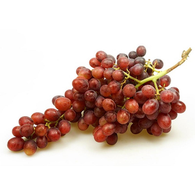 Produktfoto zu Traube rot kernlos, Sorte Autumn Royal