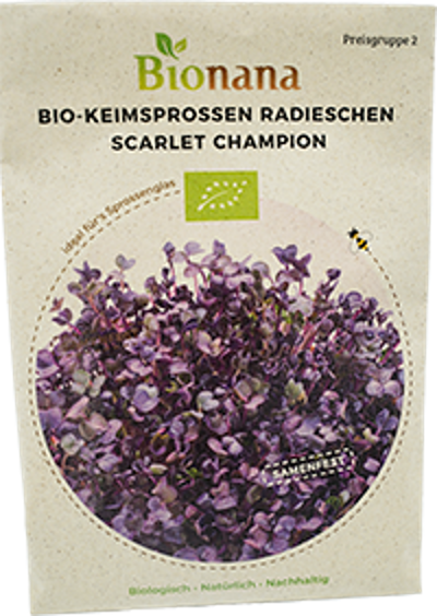 Produktfoto zu Saatgut Keimsprossen Radieschen Scarlet Champion