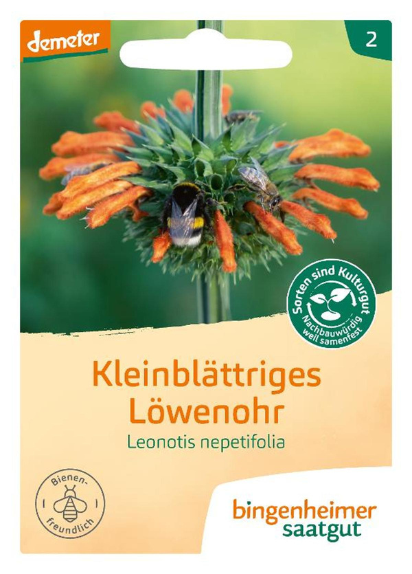 Produktfoto zu Saatgut kleinblättriges Löwenohr
